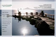 Home page for Bruce D. Greenberg, Inc.